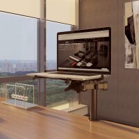 Lindy 40982 - Laptop-Arm - Schwarz - Metall - 30 cm (11.8") - 43,9 cm (17.3") - 10 kg