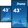 Iiyama ProLite TF4339AS-B1AG - 43" Diagonalklasse - Flachbildschirm (TFT/LCD) - 108 cm
