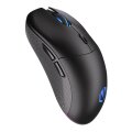 ENDORFY GEM Plus Wireless - Beidhändig - Optisch - RF Wireless + USB Type-C - 26000 DPI - Schwarz