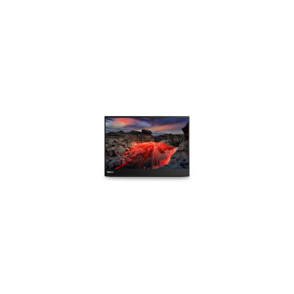 Lenovo ThinkVision M14t Gen 2 - LED-Monitor - 14 in - Flachbildschirm (TFT/LCD) - 35,6 cm
