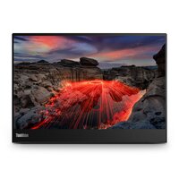 Lenovo ThinkVision M14t Gen 2 - LED-Monitor - 14 in -...