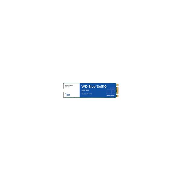 WD Blue Sa510 WDS100T3B0B-00AXS0 - SSD - - intern - M.2 2280 - SATA