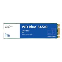 WD Blue Sa510 WDS100T3B0B-00AXS0 - SSD - - intern - M.2...