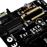 SilverStone ECM20, M.2, PCIe, SATA, Schwarz