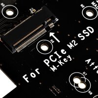 SilverStone ECM20 - M.2 - PCIe - SATA - Schwarz