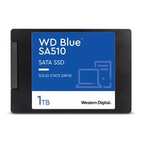 WD Blue Sa510 WDS100T3B0A-00AXR0 - SSD