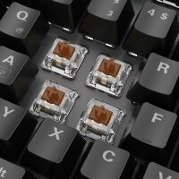 Sharkoon SKILLER SGK20 Brown - Kabelgebunden - USB - Mechanischer Switch - QWERTZ - RGB-LED - Schwarz