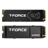 Team Group G70, 1 TB, M.2