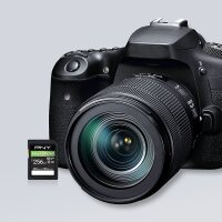 PNY EliteX-PRO60 - 256 GB - SDXC - Klasse 10 - UHS-II - 280 MB/s - 180 MB/s