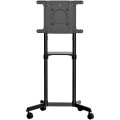 StarTech.com TV-Wagen - TV Ständer mit Rollen für 37-70 Zoll VESA-Displays (70kg) - TV-Ständer mit Regal & Ablagefach - Dreh-/Neigbares Display - Universal-TV-Halterung auf Rädern - 177,8 cm (70") - 200 x 200 mm - 600 x 400 mm - 0 - 5° - 90° - Schwarz