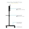 StarTech.com TV-Wagen - TV Ständer mit Rollen für 37-70 Zoll VESA-Displays (70kg) - TV-Ständer mit Regal & Ablagefach - Dreh-/Neigbares Display - Universal-TV-Halterung auf Rädern - 177,8 cm (70") - 200 x 200 mm - 600 x 400 mm - 0 - 5° - 90° - Schwarz