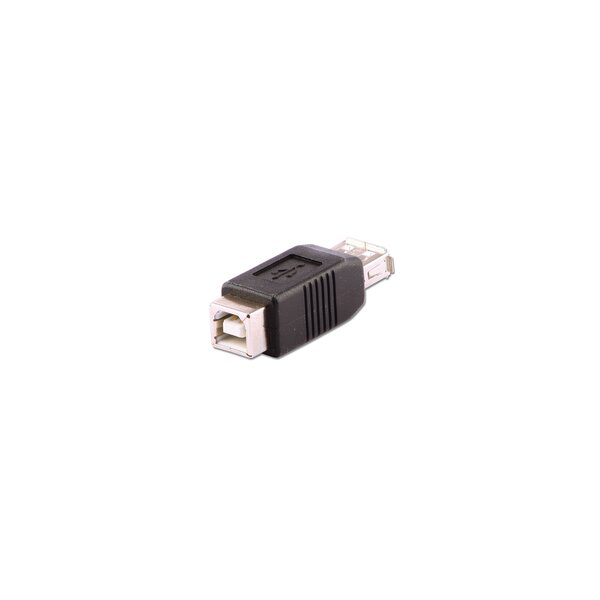 Lindy USB-Adapter Typ A/B USB A Kupplung an B Ku - Kabel