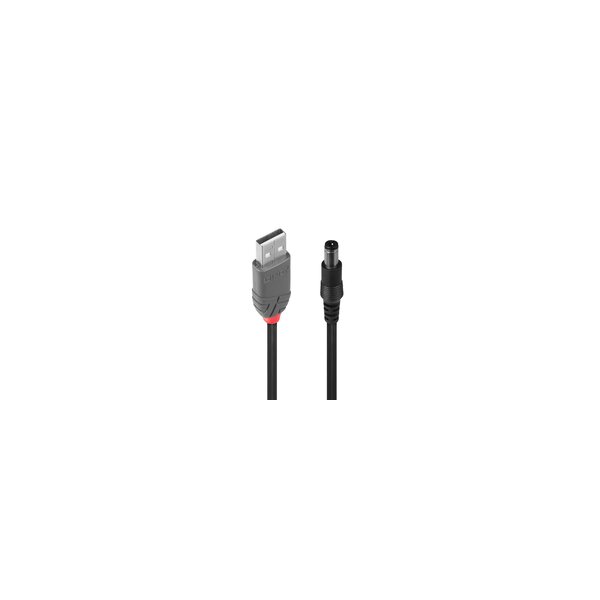Lindy USB-Ladekabel - 4-poliger USB-Anschluss Typ A (nur Strom) (M) - Gleichspannungsbuchse 5,5 mm (ID: 2,5 mm) (M)
