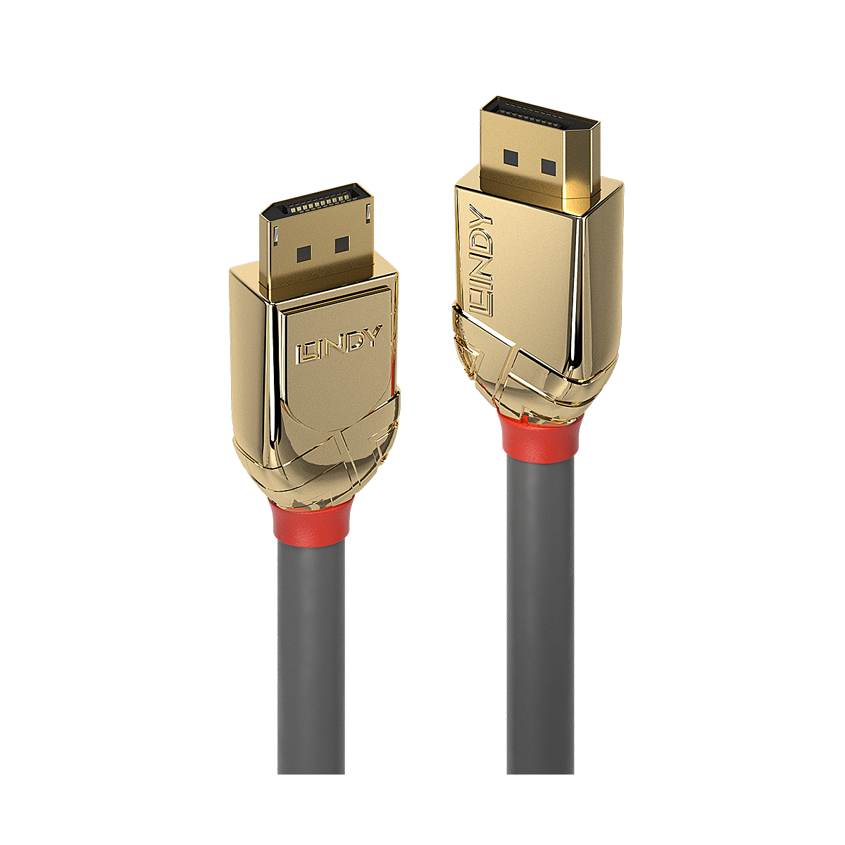 Lindy 36293 3m DisplayPort DisplayPort Gold DisplayPort-Kabel