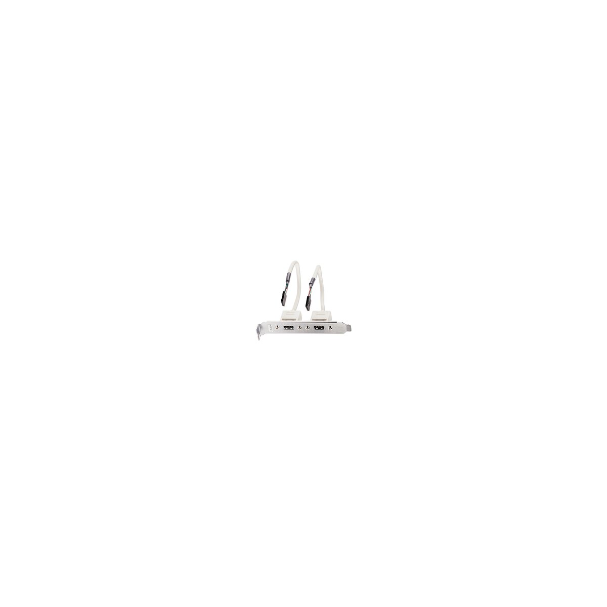 Lindy USB-Slotblechadapter 2 x 5 IDC-Kupplung ca. - Kabel