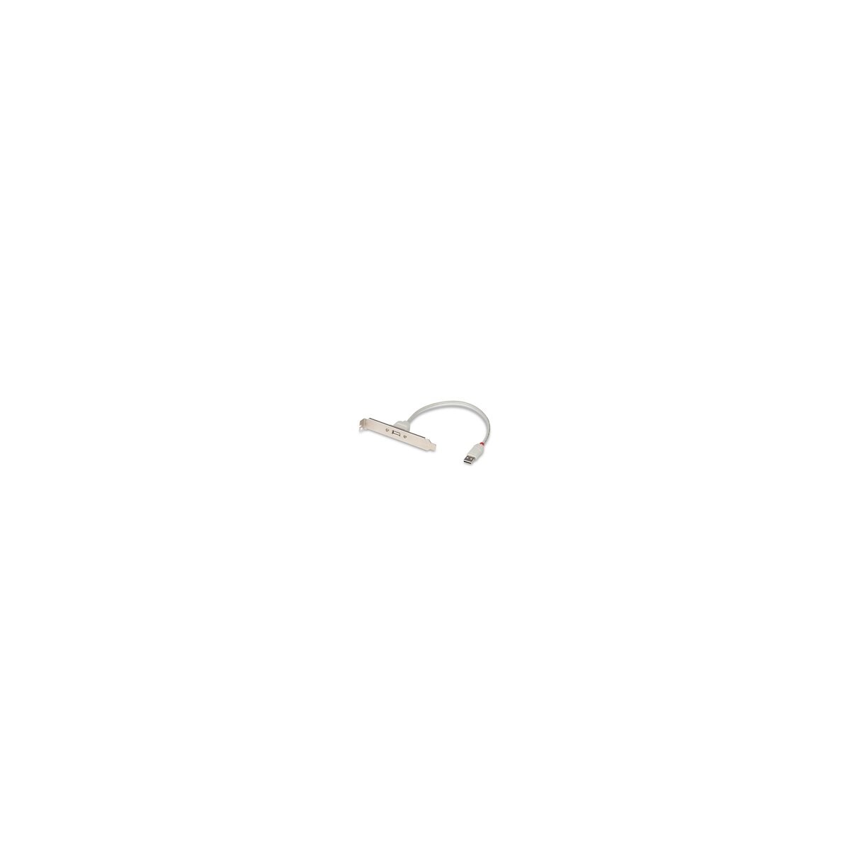 Lindy USB Slotblechadapter 1 x Typ A - Adapter