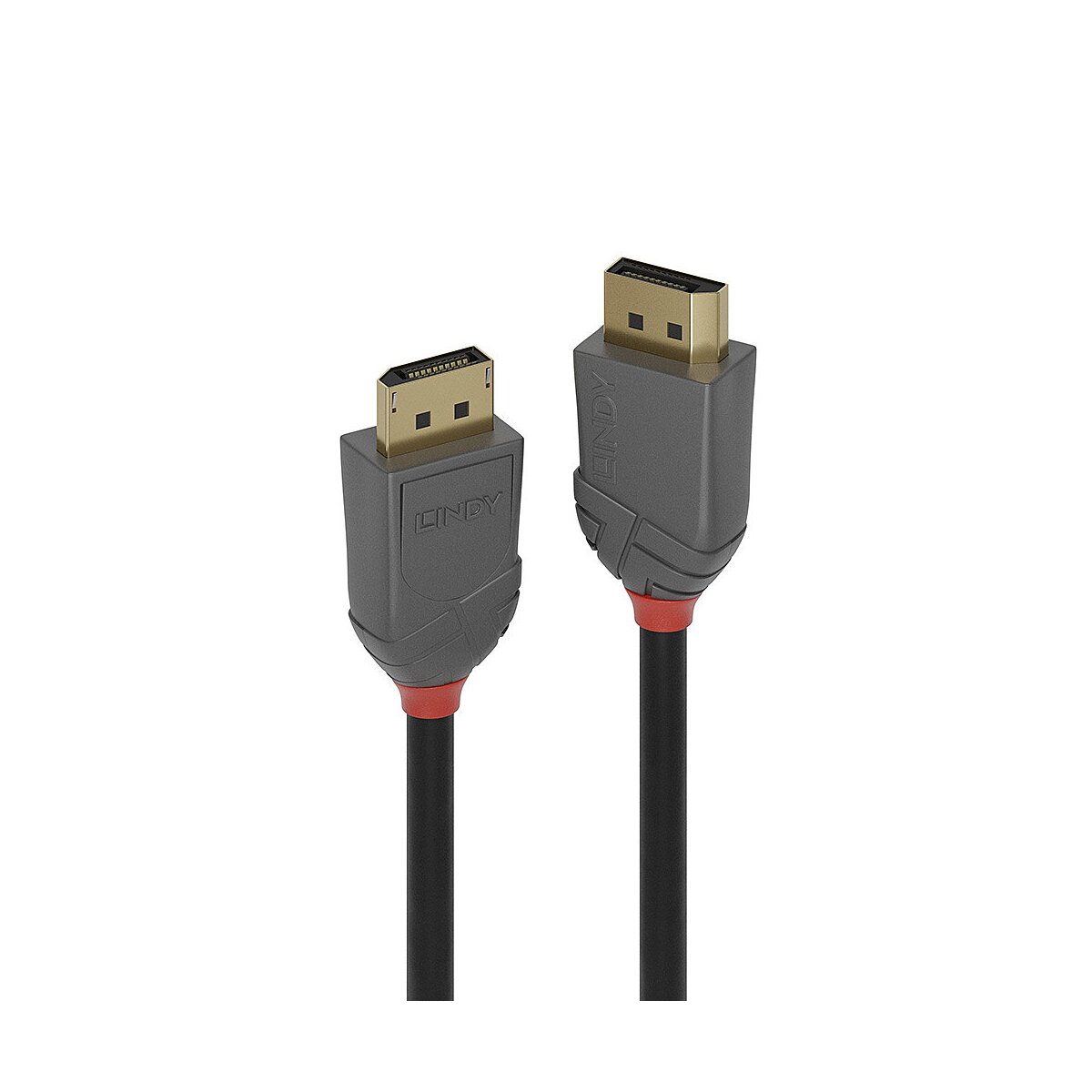 Lindy Anthra Line - DisplayPort-Kabel - DisplayPort (M) bis DisplayPort (M)