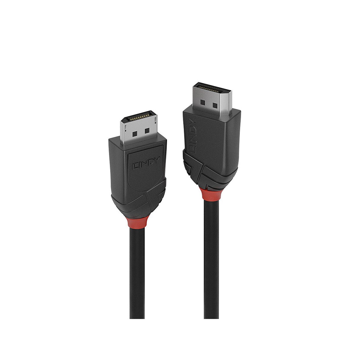 Lindy 36491 1m DisplayPort DisplayPort Schwarz DisplayPort-Kabel