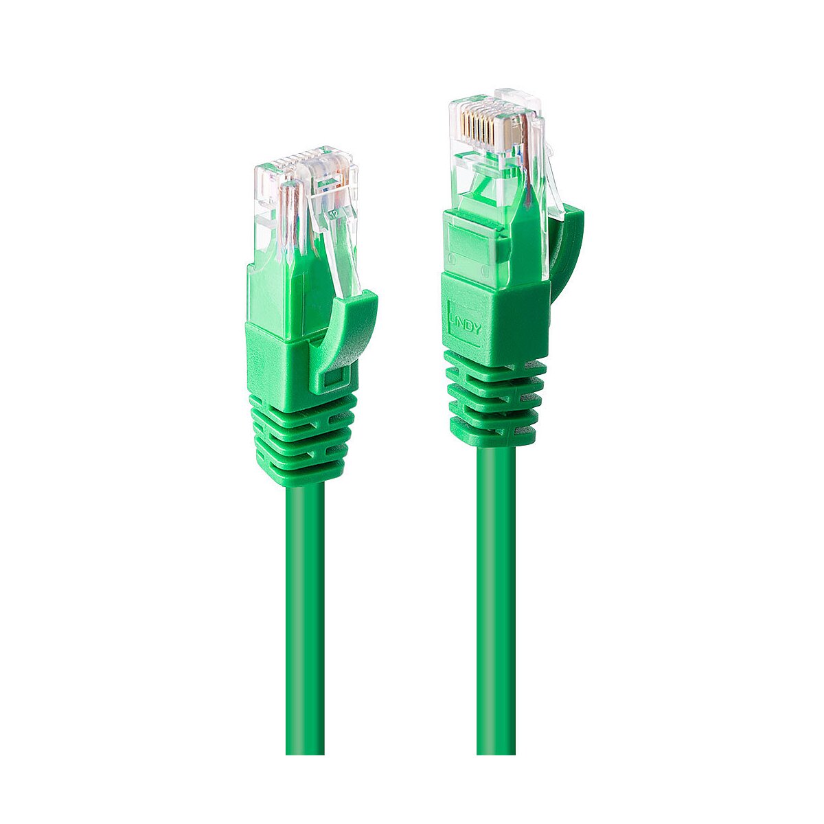 Lindy Patch-Kabel - RJ-45 (M) bis RJ-45 (M) - 30 cm
