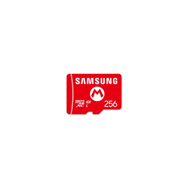 Nintendo Switch 2 mircoSD Express Card - micro SD 10016156 - micro SD Express