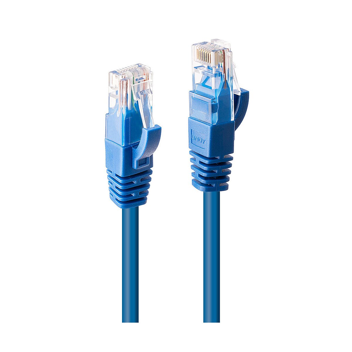 Lindy Patch-Kabel - RJ-45 (M) bis RJ-45 (M) - 50 cm