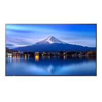 NEC MultiSync P656