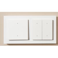 Aqara Light Switch H2 2 Buttons 1 Channel