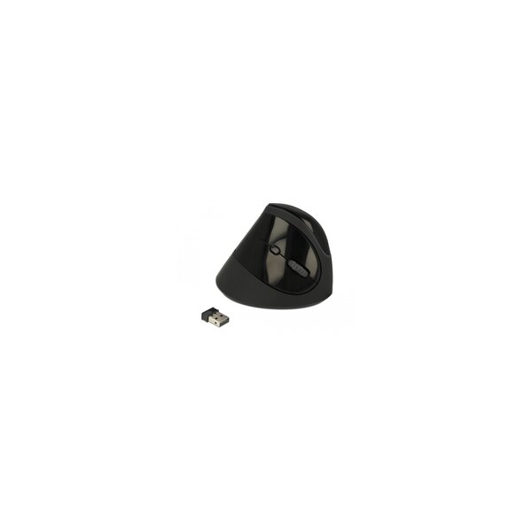 Delock 12599 - rechts - Vertikale Ausführung - RF Wireless - 1600 DPI - Schwarz
