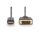 DIGITUS AK-340306-020-S - DisplayPort Adapterkabel, DP - DVI (24+1) St/St, 2.0m, m/interlock, DP 1.1a komp.,CE, sw