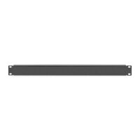 DIGITUS DN-19-BPN-01-SW - 1HE Blindabdeckplatte Farbe Schwarz (RAL 9005)